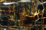 Wide Piece Of Polished Indonesian Amber - Massive! #176134-4